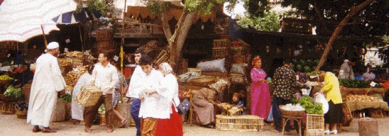 Picture of a souk